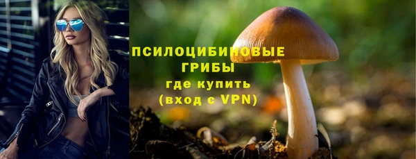 гидропоника Богданович
