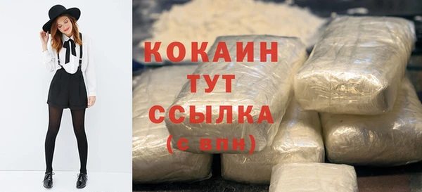 гидропоника Богданович