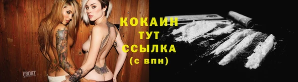 спайс Тайга