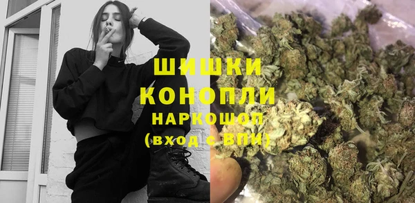 гидропоника Богданович