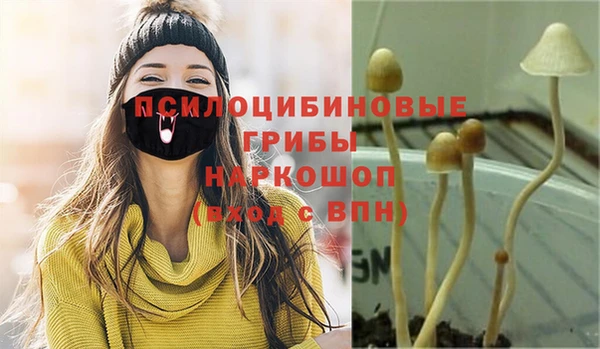 бошки Богородск
