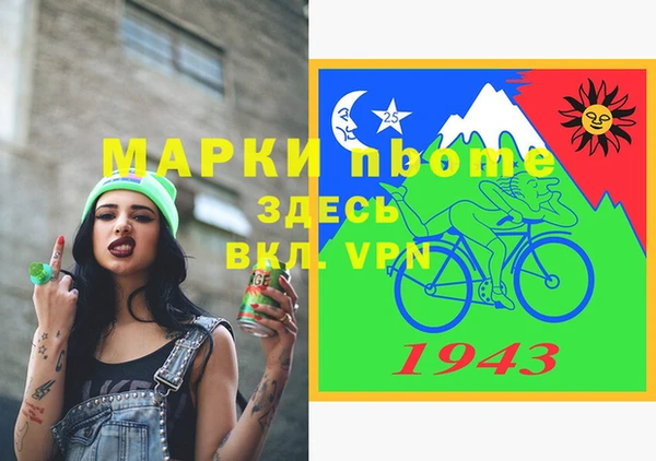 прущие грибы Верея