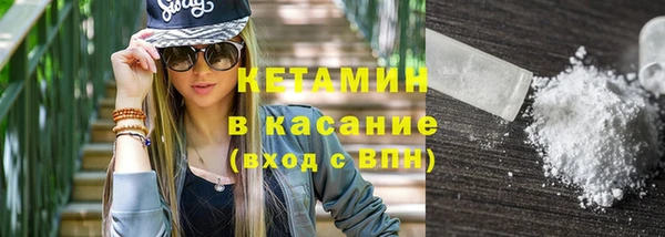 прущие грибы Верея