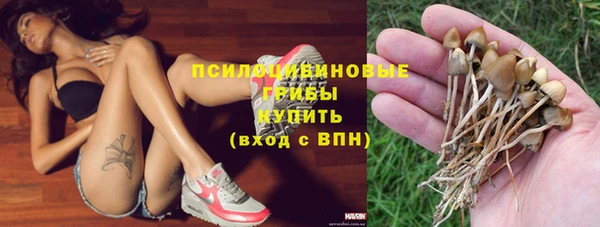 бошки Богородск