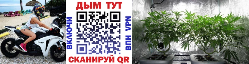 hydra tor  Карачев  Бошки Шишки Ganja  цены  
